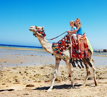 Tourists children riding a camel on the beach in Egypt
